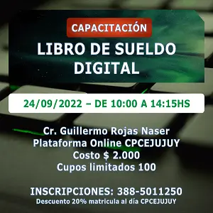 Contador publico libro sueldo digital