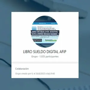 el mejor contador Público de Jujuy libro de sueldos digital